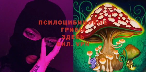 гидропоника Алексин