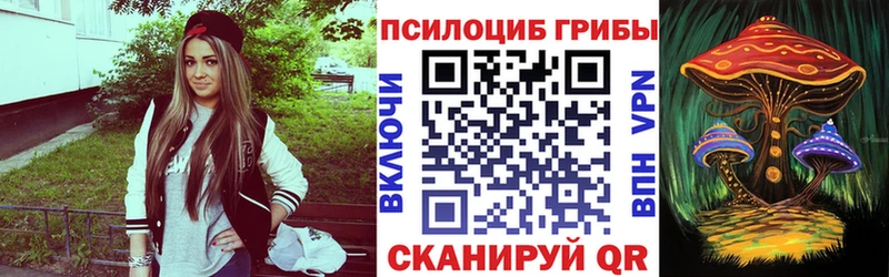 хочу   Рошаль  Галлюциногенные грибы Magic Shrooms 